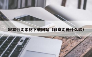 龙海寂寞行走素材下载网站（寂寞走是什么歌）