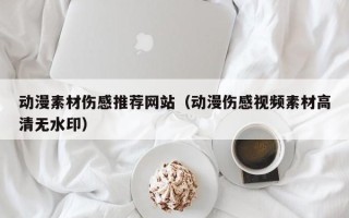 龙海动漫素材伤感推荐网站（动漫伤感视频素材高清无水印）